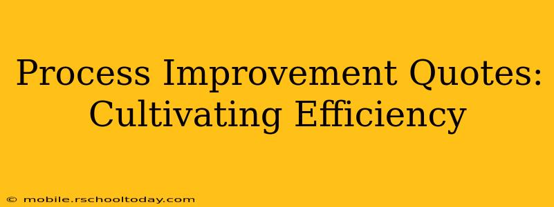 Process Improvement Quotes: Cultivating Efficiency