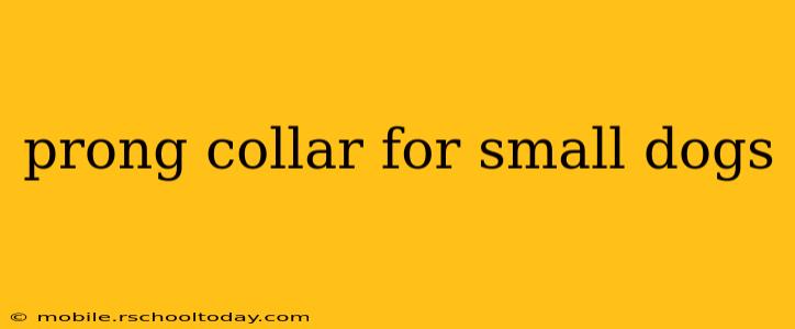 prong collar for small dogs