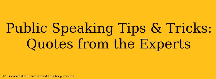 Public Speaking Tips & Tricks: Quotes from the Experts