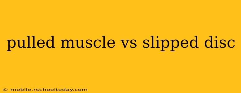 pulled muscle vs slipped disc