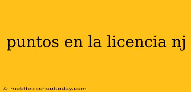 puntos en la licencia nj