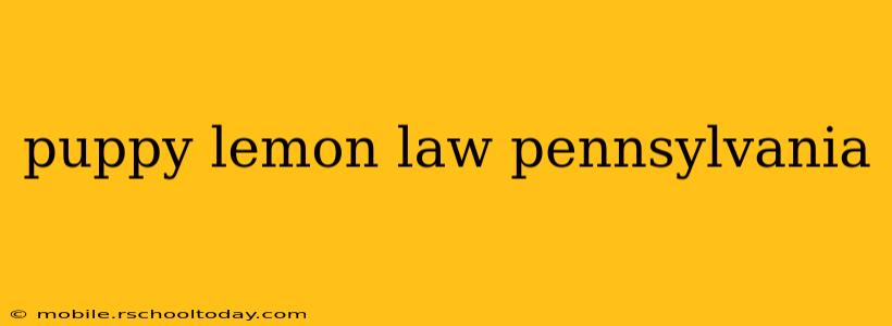 puppy lemon law pennsylvania