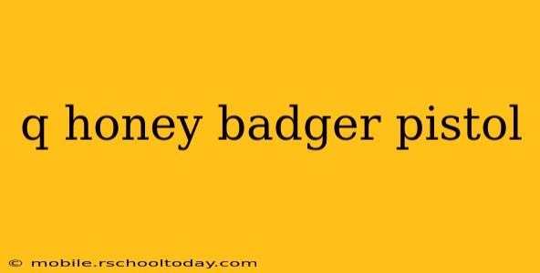 q honey badger pistol