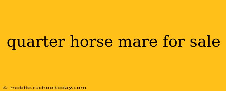 quarter horse mare for sale