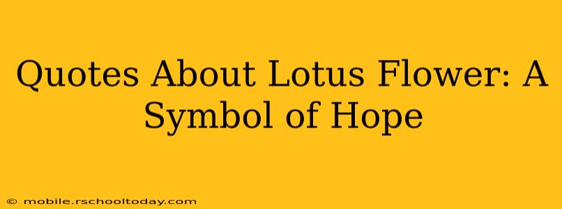 Quotes About Lotus Flower: A Symbol of Hope