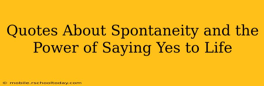 Quotes About Spontaneity and the Power of Saying Yes to Life