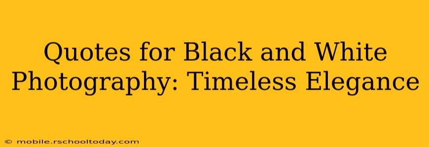 Quotes for Black and White Photography: Timeless Elegance