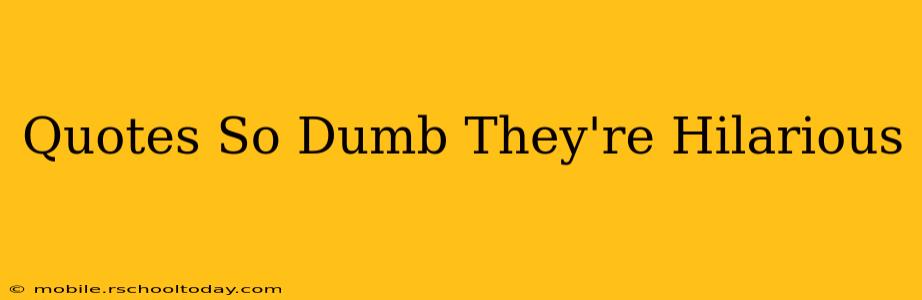 Quotes So Dumb They're Hilarious