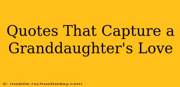 Quotes That Capture a Granddaughter's Love