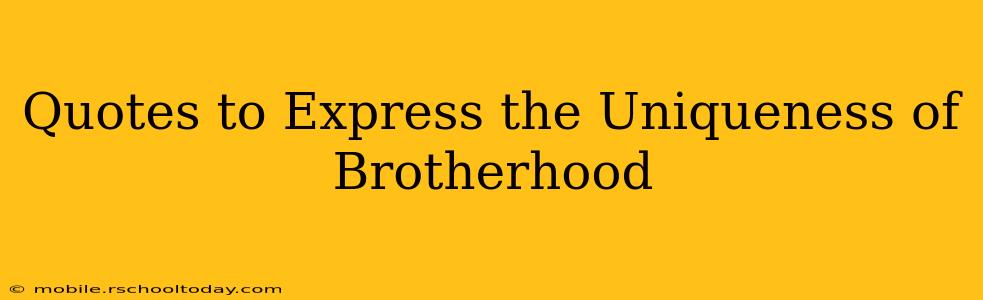Quotes to Express the Uniqueness of Brotherhood