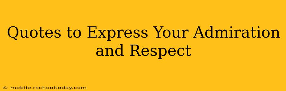 Quotes to Express Your Admiration and Respect