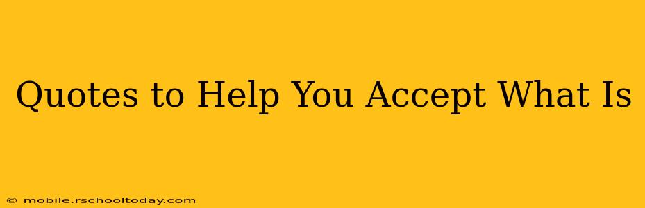 Quotes to Help You Accept What Is