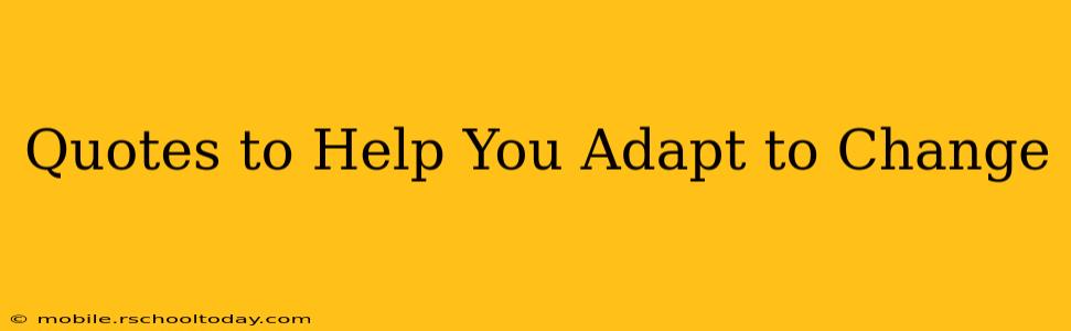 Quotes to Help You Adapt to Change