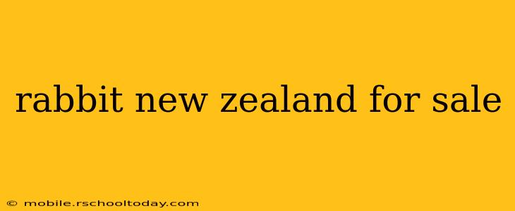 rabbit new zealand for sale