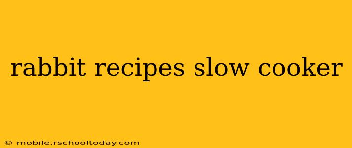 rabbit recipes slow cooker