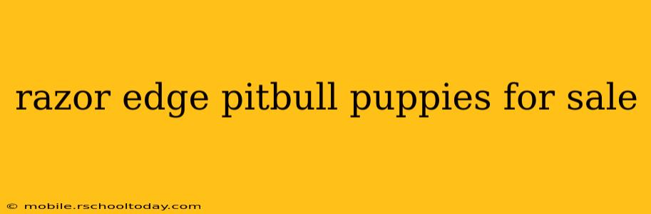 razor edge pitbull puppies for sale