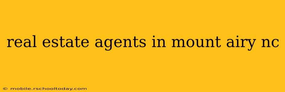 real estate agents in mount airy nc