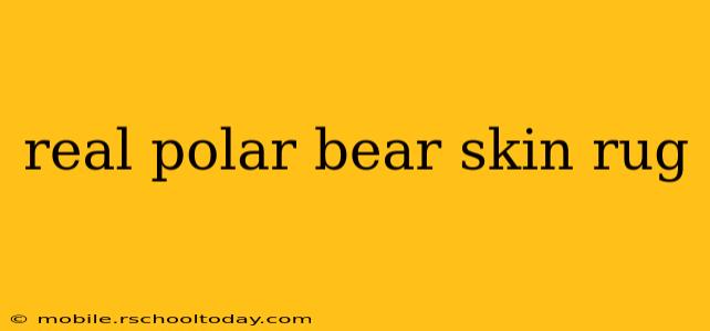 real polar bear skin rug
