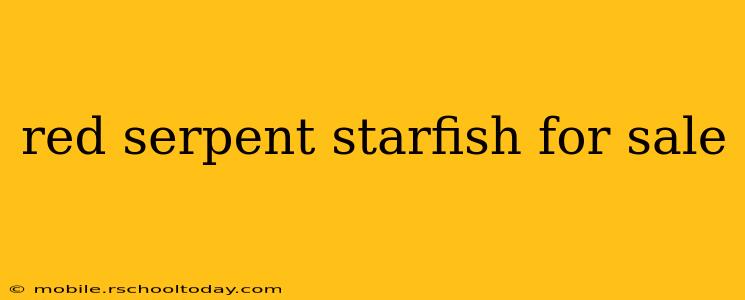 red serpent starfish for sale