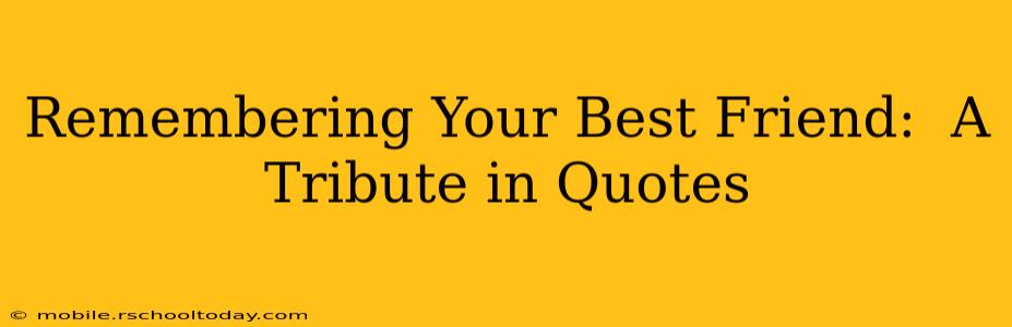 Remembering Your Best Friend:  A Tribute in Quotes