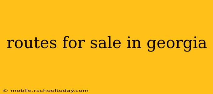 routes for sale in georgia