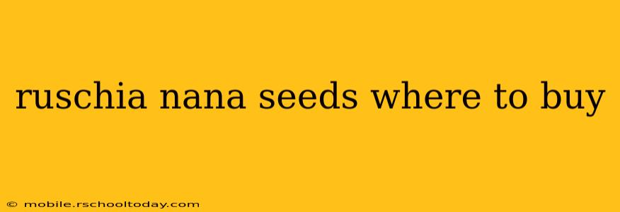 ruschia nana seeds where to buy
