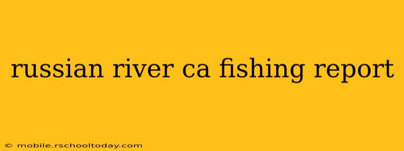russian river ca fishing report