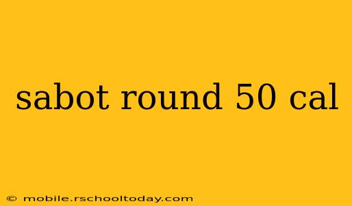 sabot round 50 cal