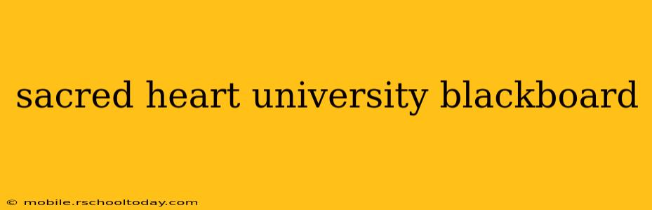 sacred heart university blackboard