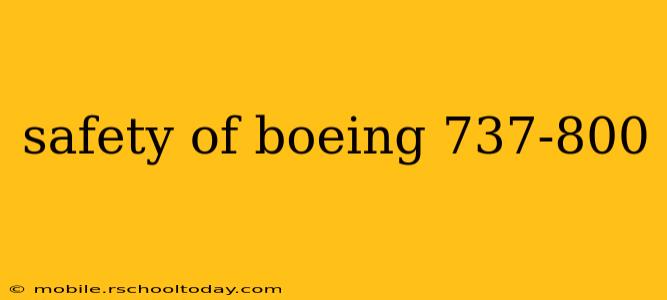 safety of boeing 737-800