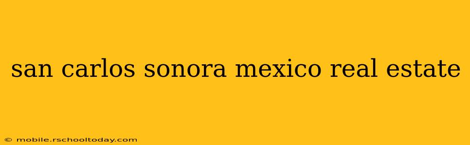 san carlos sonora mexico real estate