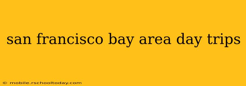 san francisco bay area day trips