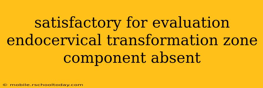satisfactory for evaluation endocervical transformation zone component absent