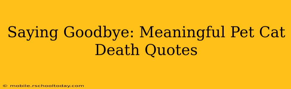 Saying Goodbye: Meaningful Pet Cat Death Quotes