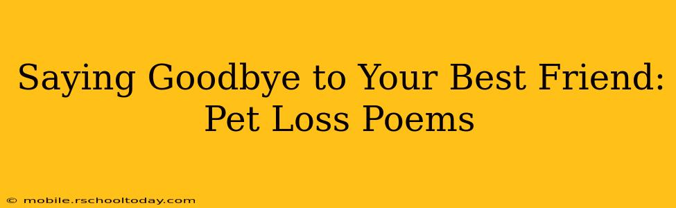Saying Goodbye to Your Best Friend: Pet Loss Poems