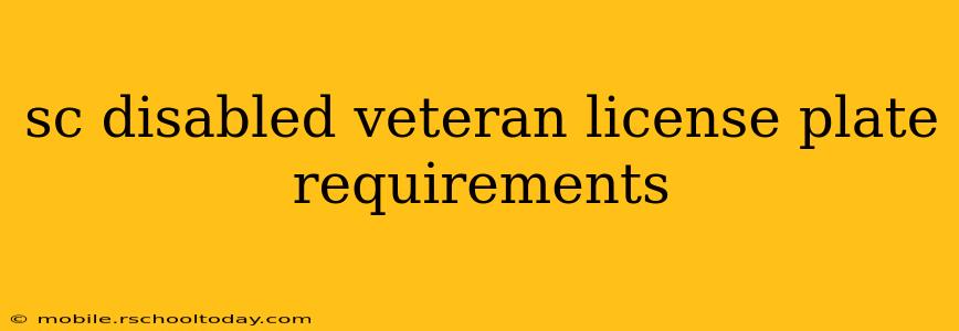 sc disabled veteran license plate requirements