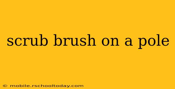 scrub brush on a pole
