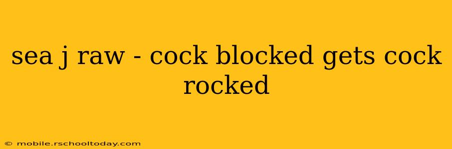sea j raw - cock blocked gets cock rocked