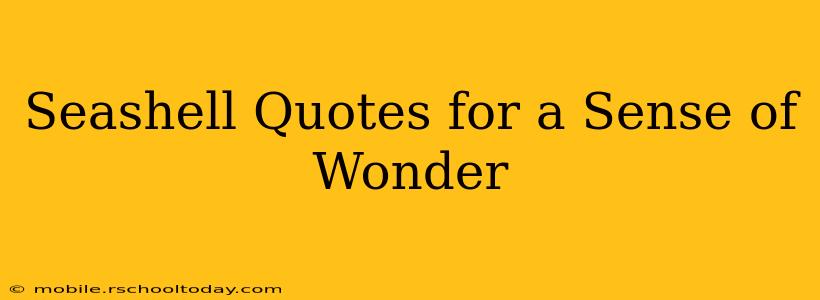 Seashell Quotes for a Sense of Wonder