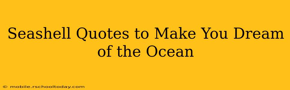 Seashell Quotes to Make You Dream of the Ocean