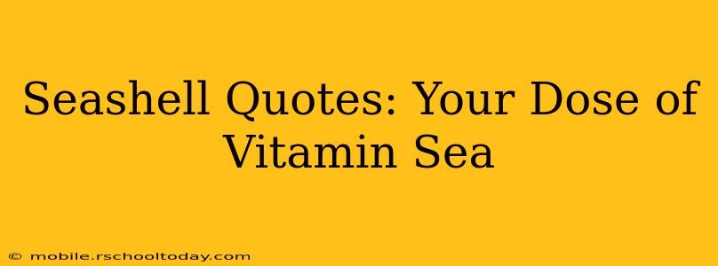 Seashell Quotes: Your Dose of Vitamin Sea