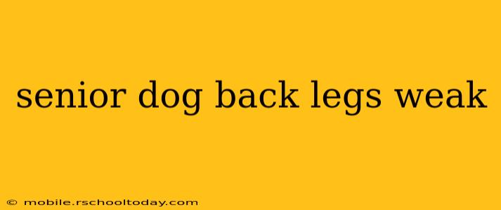senior dog back legs weak
