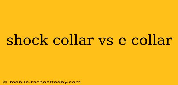 shock collar vs e collar
