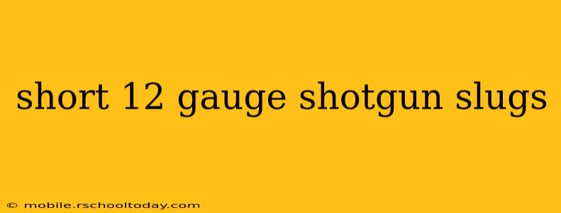 short 12 gauge shotgun slugs
