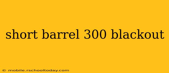 short barrel 300 blackout