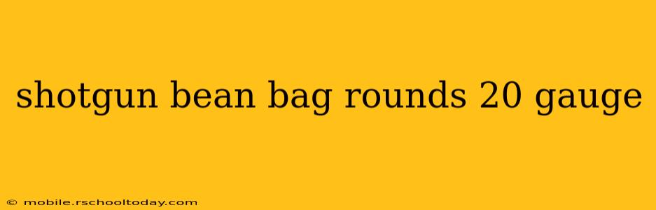 shotgun bean bag rounds 20 gauge