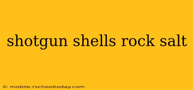 shotgun shells rock salt