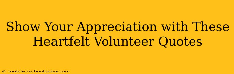 Show Your Appreciation with These Heartfelt Volunteer Quotes