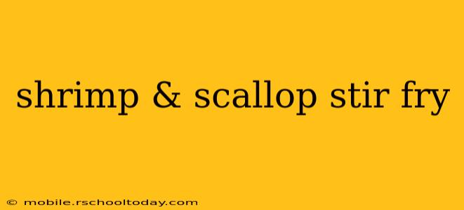 shrimp & scallop stir fry