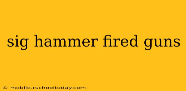 sig hammer fired guns